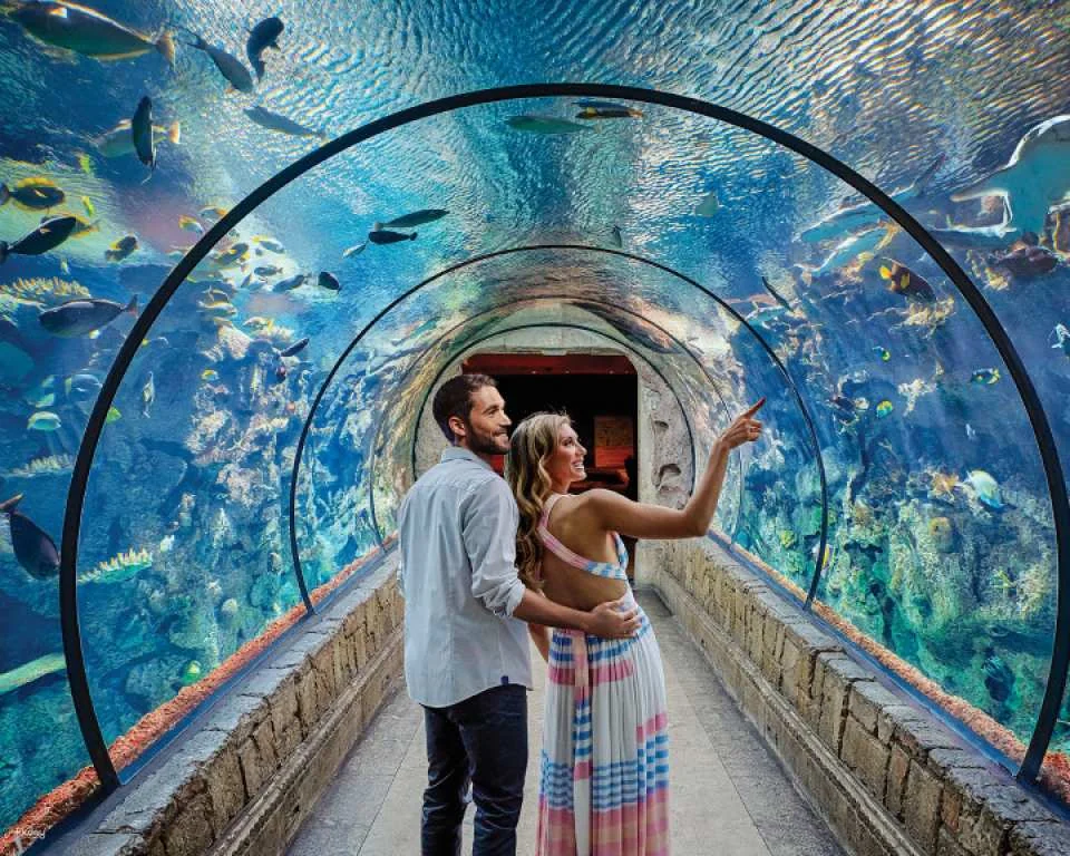 Mandalay Bay Shark Reef Aquarium Admission Ticket | Las Vegas