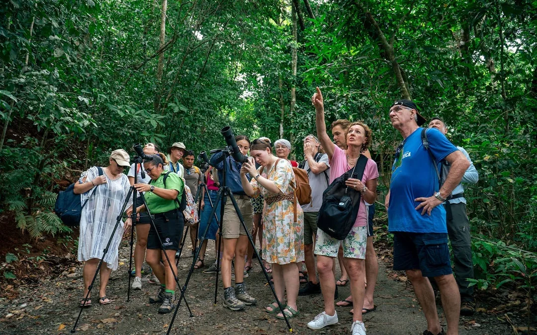 Manuel Antonio National Park Guided Tour with Wildlife Viewing and Beach Access from Manuel Antonio Image 1