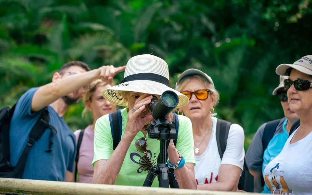 Manuel Antonio National Park Guided Tour with Wildlife Viewing and Beach Access from Manuel Antonio Image 5