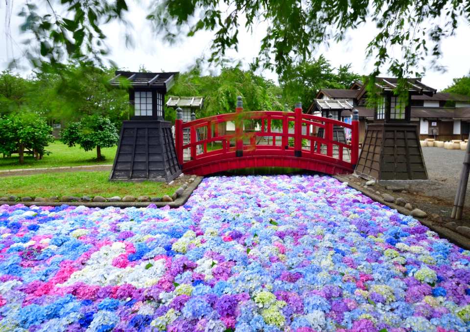 Matsumae Clan Mansion｜Admission Ticket｜Matsumae, Hokkaido
