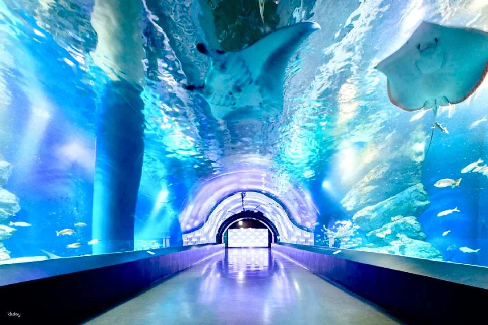 Maxell Aqua Park Shinagawa Ticket