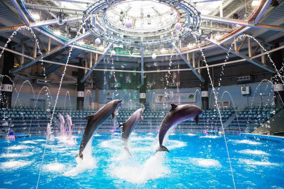 Maxell Aqua Park Shinagawa Ticket