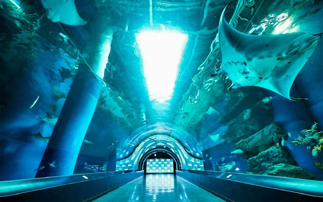 Maxell Aqua Park Tickets [E-Ticket] Image 4