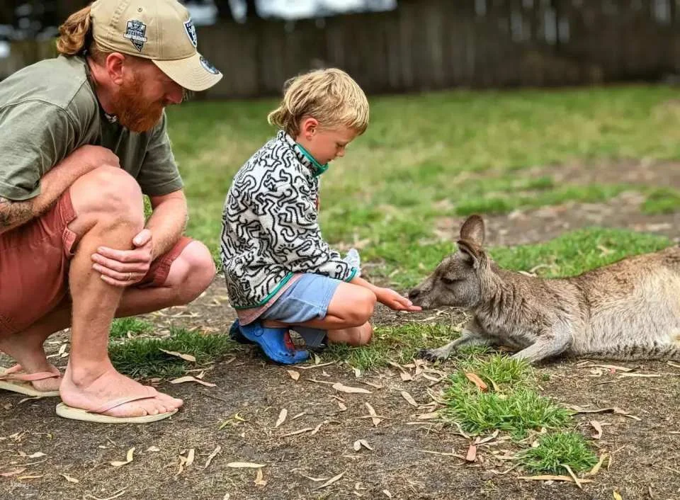 Melbourne Great Ocean Road Wildlife Park Tickets | Australia