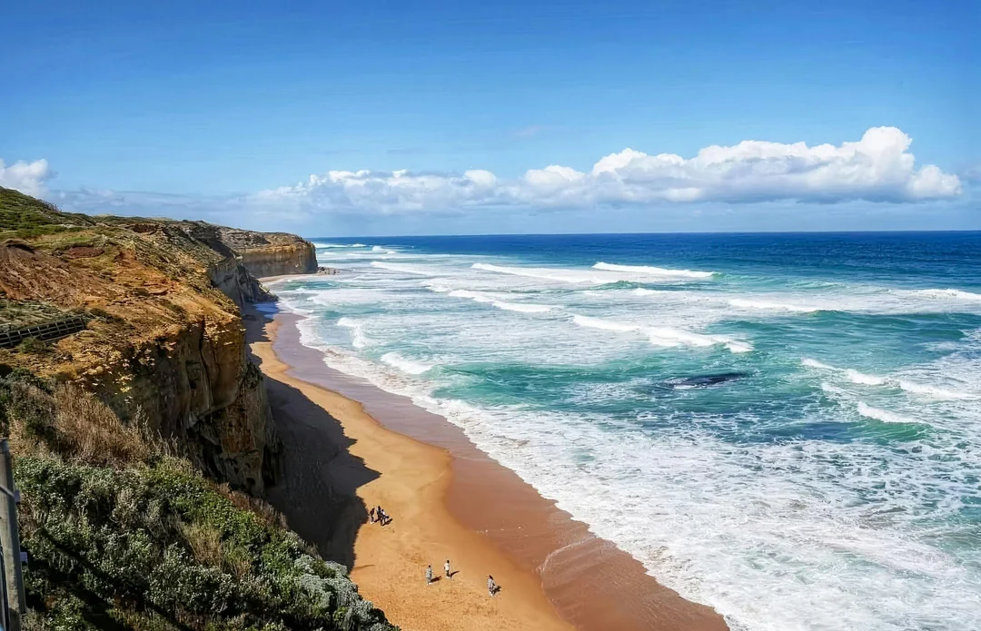 Melbourne to Great Ocean Road Small-Group Nature Tour with Wildlife Experience Image 4