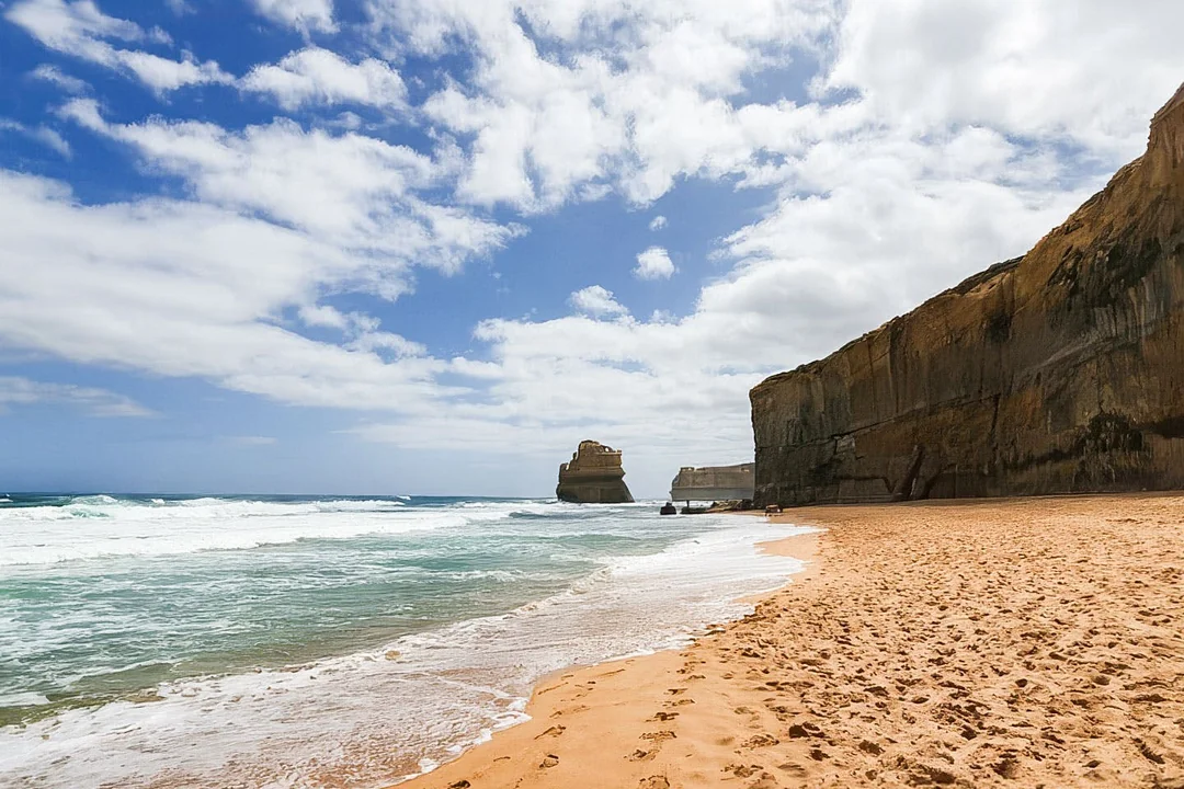 Melbourne to Great Ocean Road Small-Group Nature Tour with Wildlife Experience Image 5