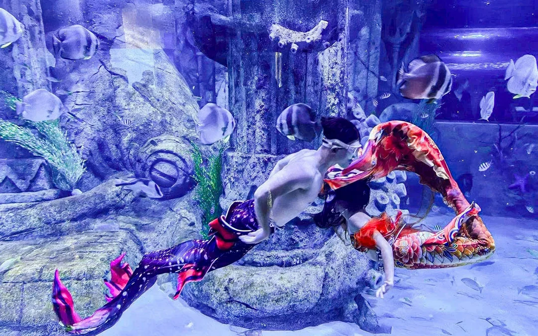 Mermaid Show Tickets Image 5