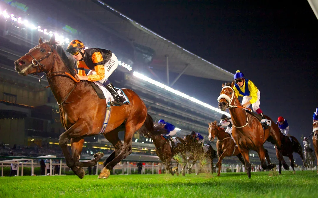Meydan Races Image 2