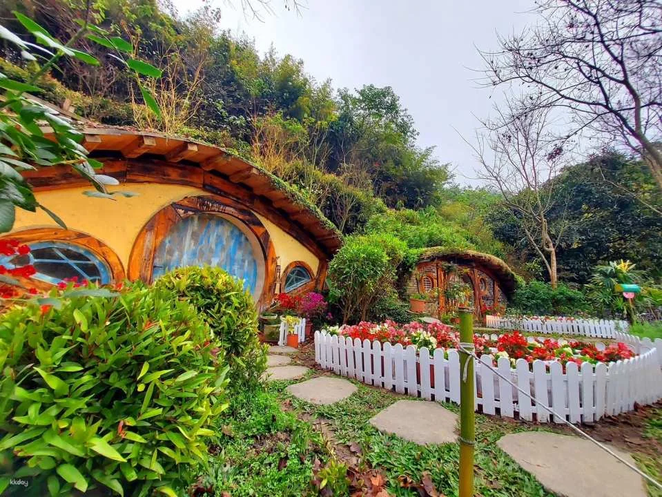 Miaoli Habichu Tea Tree Forest Ticket
