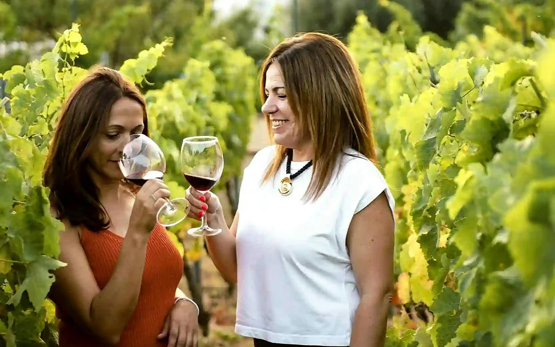Mijas Organic Vineyard Tour and Tasting with 5 Wines, 2 Olive Oils and Tapas Image 1