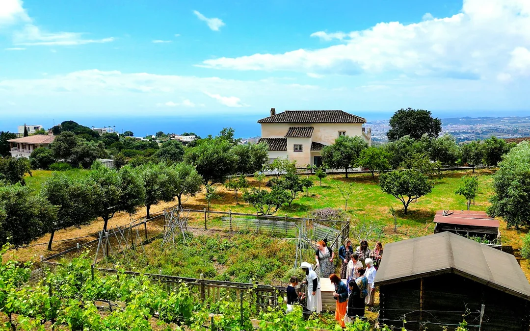 Mijas Organic Vineyard Tour and Tasting with 5 Wines, 2 Olive Oils and Tapas Image 10