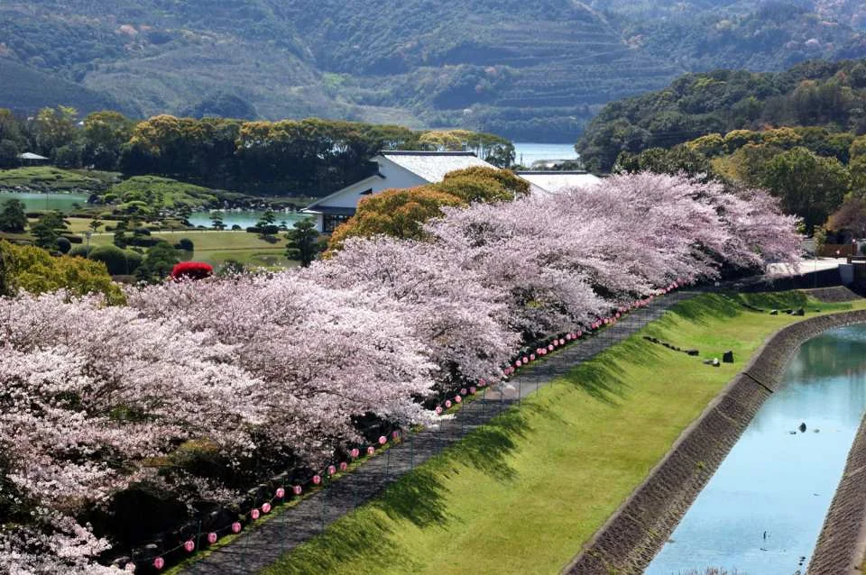 Minami Rakuen Admission Ticket (Garden, Uwajima City, Ehime Prefecture)