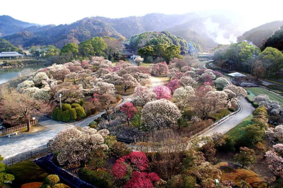 Minami Rakuen Admission Ticket (Garden, Uwajima City, Ehime Prefecture)