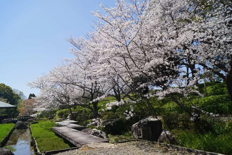 Minami Rakuen Admission Ticket (Garden, Uwajima City, Ehime Prefecture)