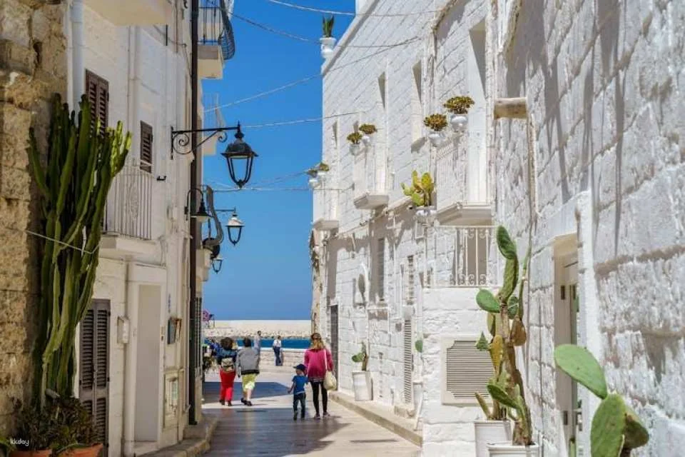 Monopoli and Alberobello guided tour from Bari