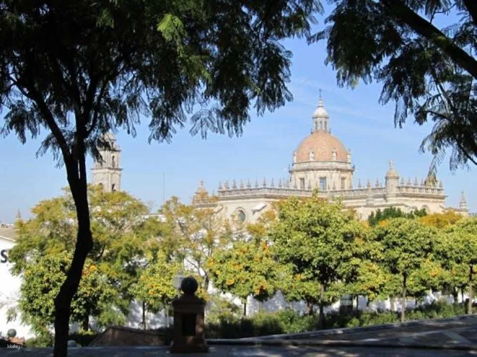 Monumental Jerez walking tour with Mudejar Alcazar and Cathedral tickets