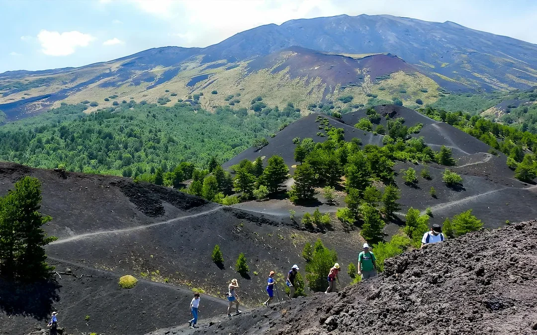Mount Etna and Cave Half-Day Guided Tour Image 10