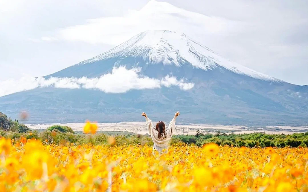 Mount Fuji Guided Day Tour with Kachikachi Ropeway & Matcha-Making Experience Image 11