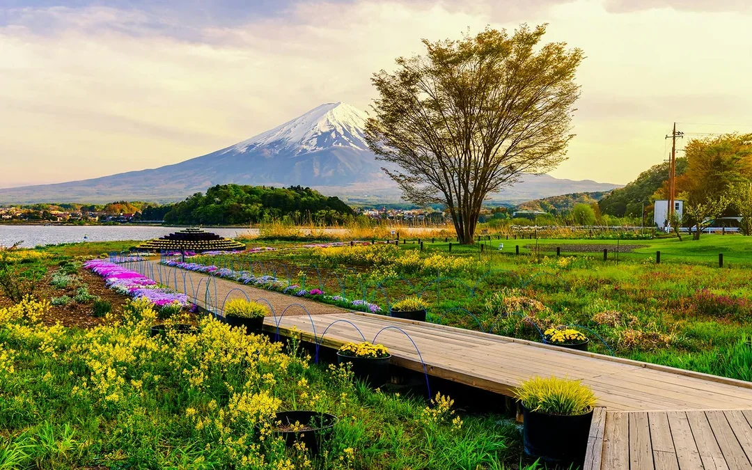 Mount Fuji Highlights Tour: Chureito Pagoda, Lake Kawaguchi, Oshino Hakkai, & More Image 8