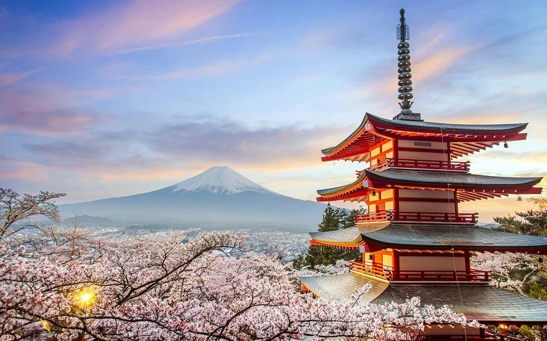 Mount Fuji Private Tour: Explore Top Spots at Your Pace (10 Hours) Image 8