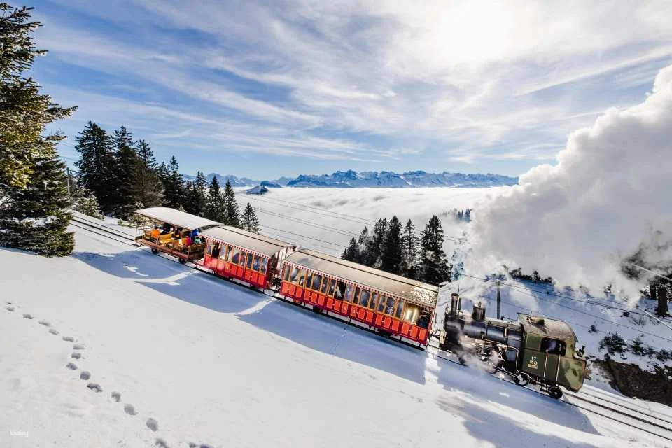 Mount Rigi Round Trip Ticket with Lake Lucerne Boat ride | Switzerland