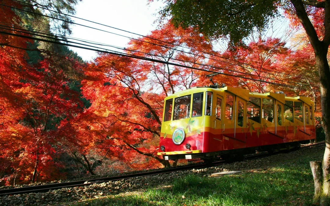 Mountain Takao Keio Line One-Day Ticket + Mt. Takao Cable Car Ticket Image 1