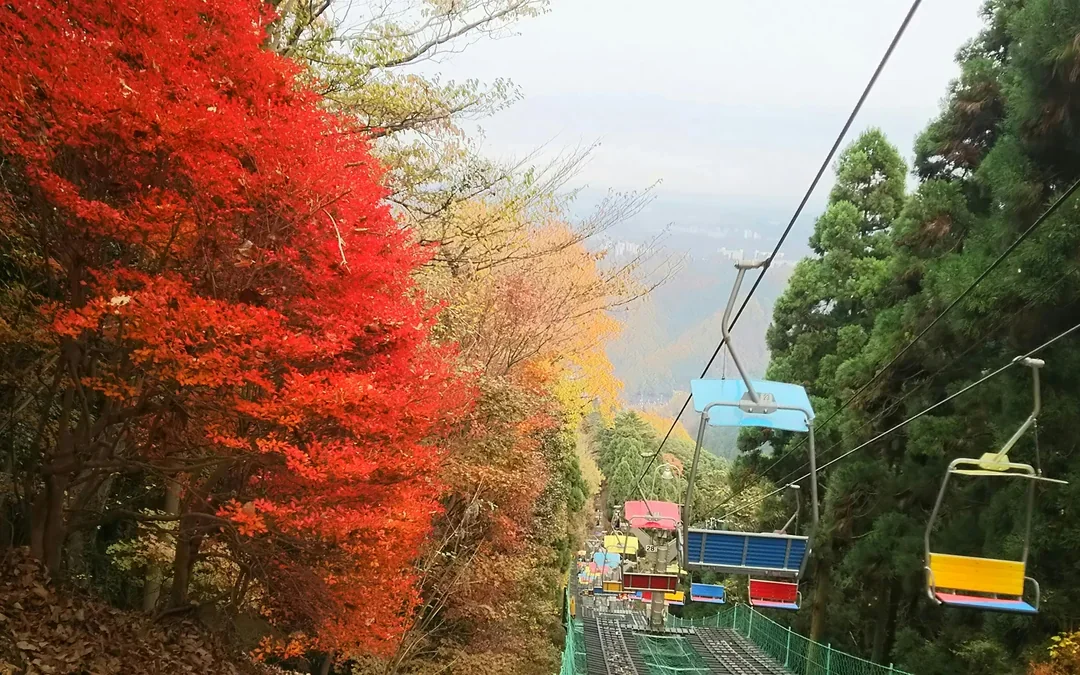 Mountain Takao Keio Line One-Day Ticket + Mt. Takao Cable Car Ticket Image 5