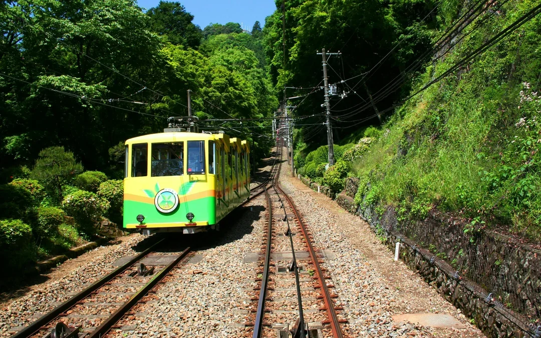Mountain Takao Keio Line One-Day Ticket + Mt. Takao Cable Car Ticket Image 6