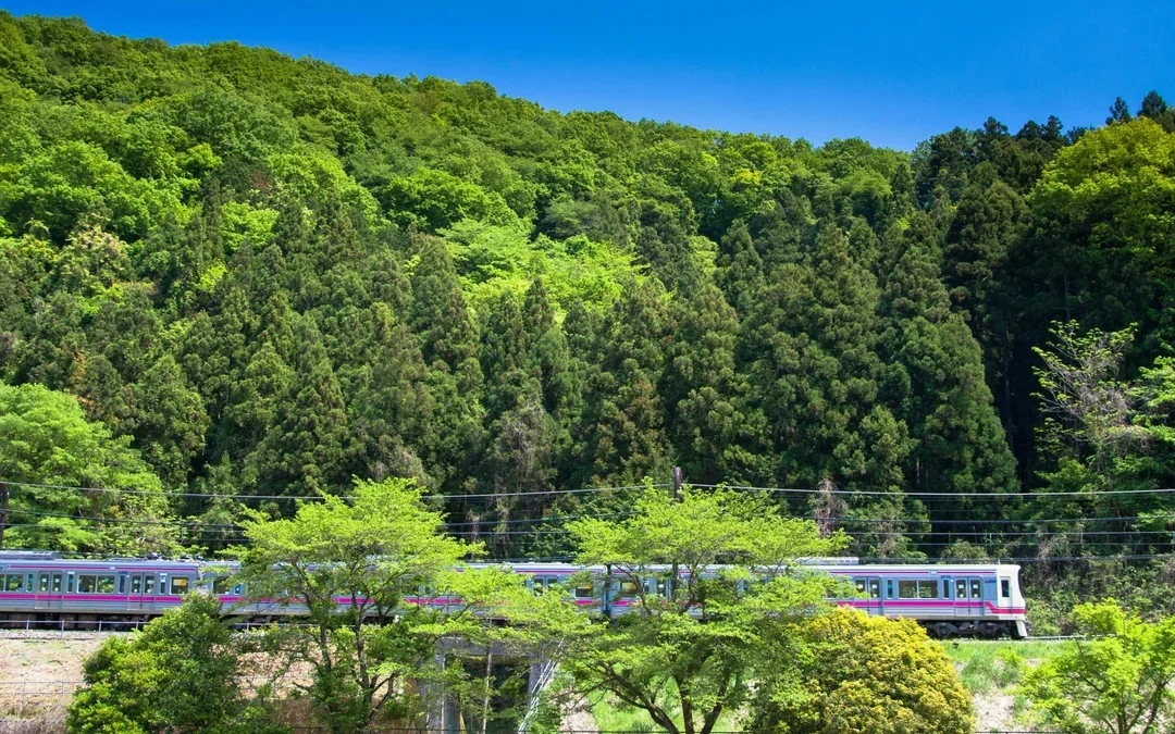Mountain Takao Keio Line One-Day Ticket + Mt. Takao Cable Car Ticket Image 8