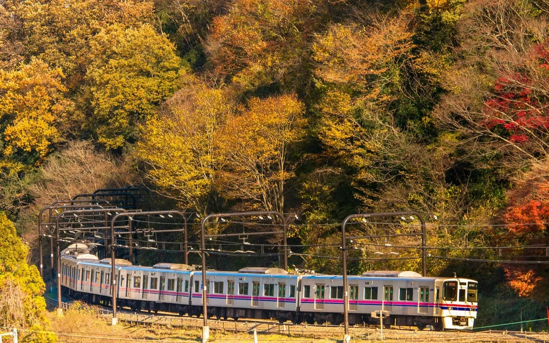 Mountain Takao Keio Line One-Day Ticket + Mt. Takao Cable Car Ticket Image 9