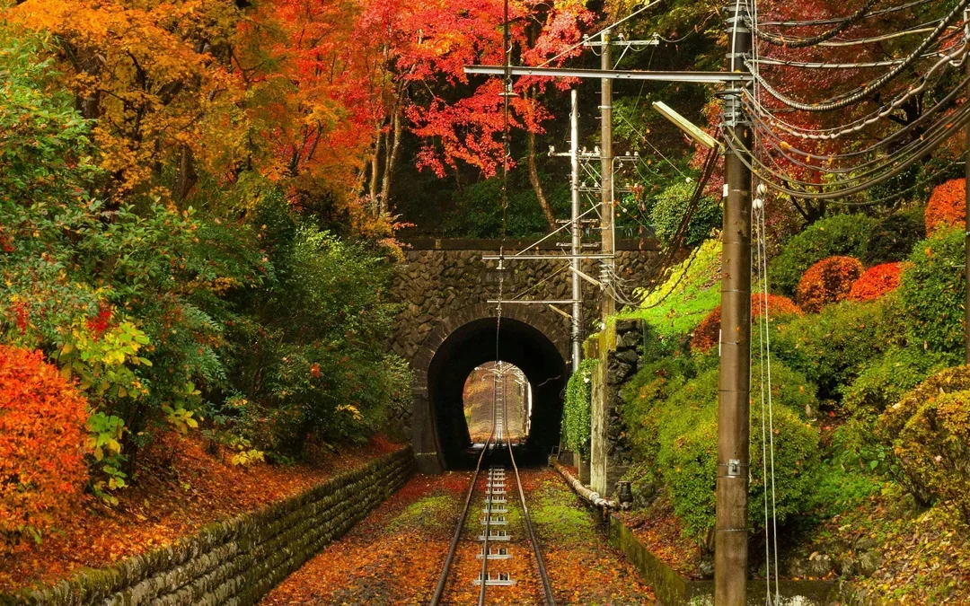Mountain Takao Keio Line One-Day Ticket + Mt. Takao Cable Car Ticket Image 10