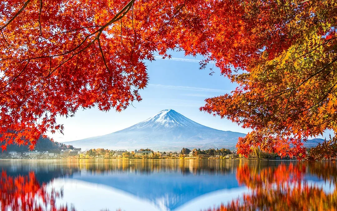 Mt. Fuji Instagrammable Tour: Chureito Pagoda, Oishi Park, Hikawa Clock Shop, Lawson Store, & More Image 7