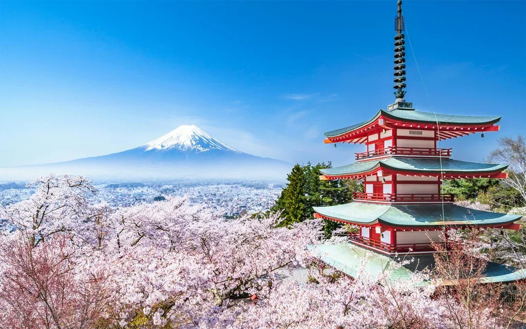 Mt. Fuji Instagrammable Tour: Chureito Pagoda, Oishi Park, Hikawa Clock Shop, Lawson Store, & More Image 9