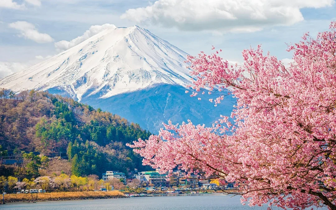 Mt. Fuji Instagrammable Tour: Chureito Pagoda, Oishi Park, Hikawa Clock Shop, Lawson Store, & More Image 10