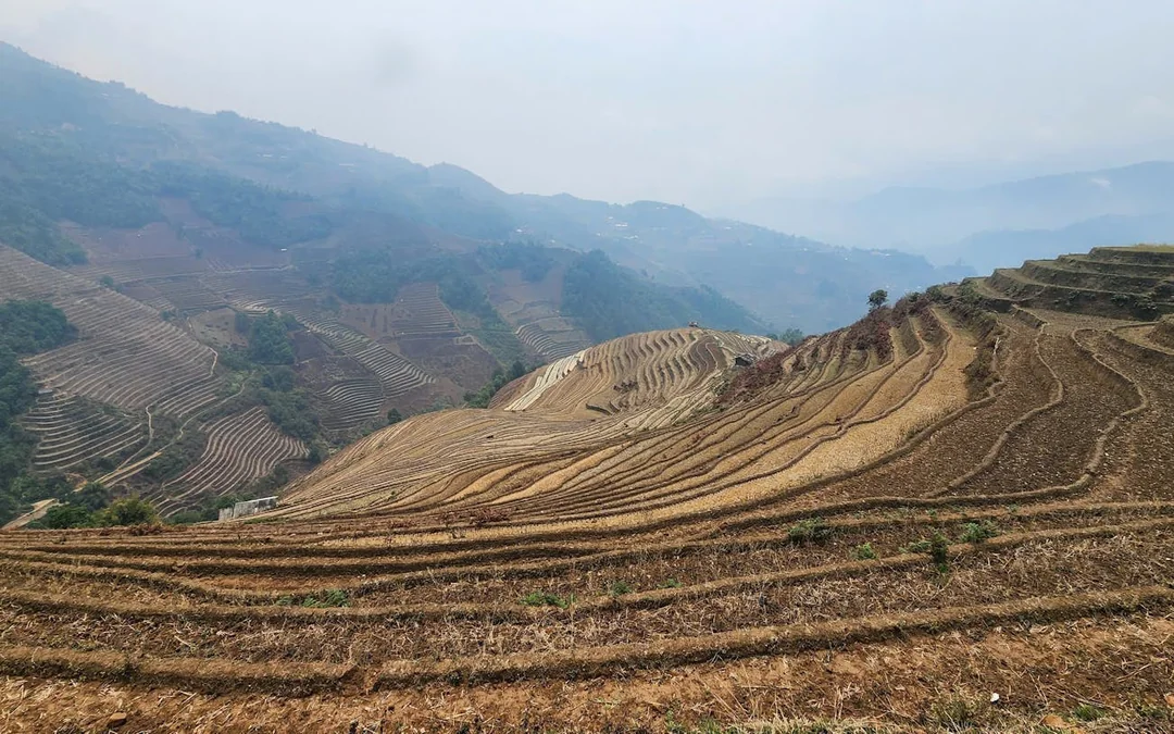 Mu Cang Chai Private Car Tour with Local Guide Image 4
