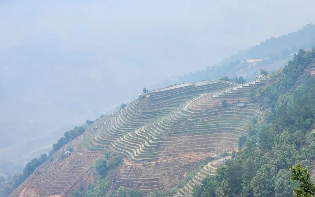 Mu Cang Chai Private Car Tour with Local Guide Image 10