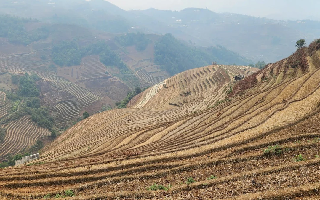 Mu Cang Chai Trekking and Motorbike Tour with Village and Rice Terrace Visits Image 3