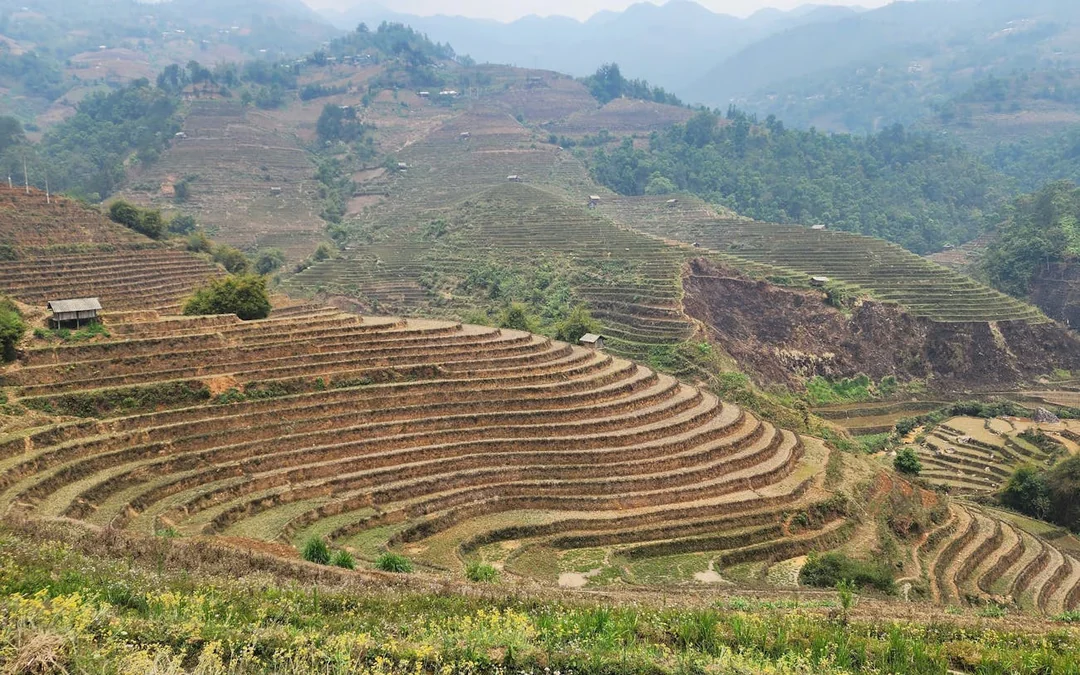 Mu Cang Chai Trekking and Motorbike Tour with Village and Rice Terrace Visits Image 4