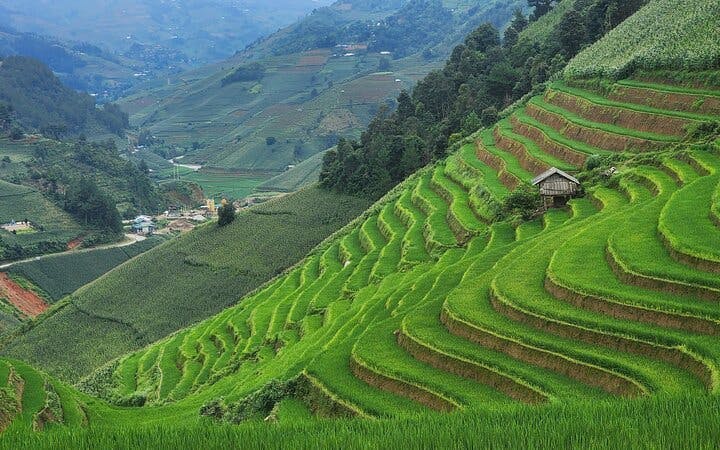 Mu Cang Chai Trekking Tour with Homestay and H’Mong Village Visits Image 2