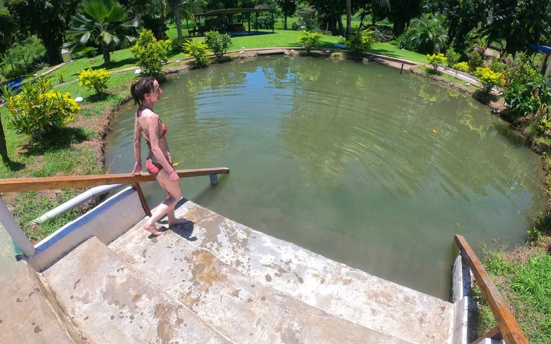 Nadi Highlights Guided Tour: Temple, Village, Market, Orchid Garden, and Hot Springs Entry Image 5