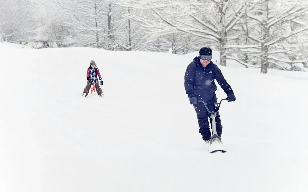 Nagano Snow Monkey Park & Shiga Kogen Maruike Park Day Tour Image 3