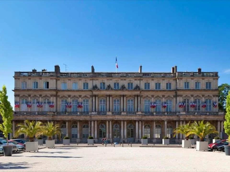 Nancy 2-hour introductory walking tour with a local