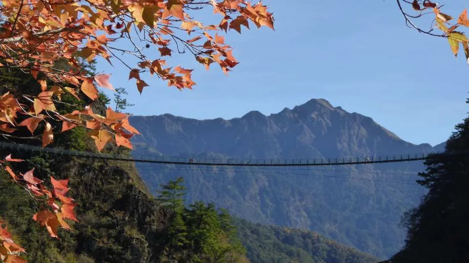 Nantou Aowanda National Forest Recreation Area Tickets