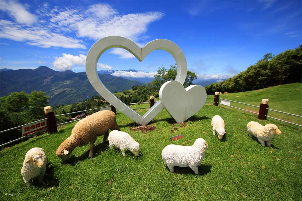 Nantou Qingjing Farm Green Green Grasslands Grassland Admission Ticket