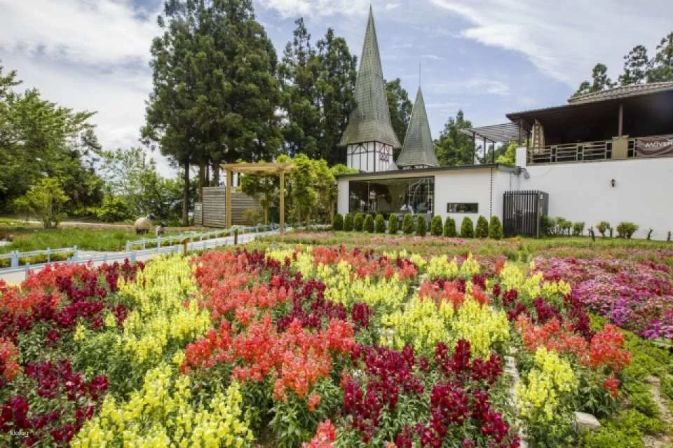 Nantou Qingjing Farm Green Green Grasslands Grassland Admission Ticket
