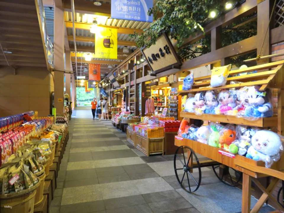 Nantou｜Sun Moon Lake Pass, Includes Sun Moon Lake Cable Car Ticket, Lake Cruise Ticket, and Bicycle Rental Voucher