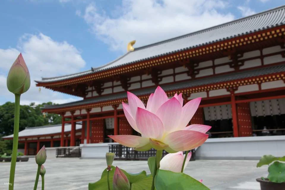 Nara, Japan｜Nishikyo Renhuaji Temple Pass (Saidaiji Temple, Kikoji Temple, Toshodaiji Temple, Yakushiji Temple)