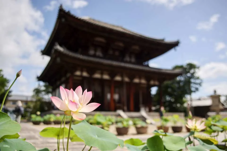 Nara, Japan｜Nishikyo Renhuaji Temple Pass (Saidaiji Temple, Kikoji Temple, Toshodaiji Temple, Yakushiji Temple)