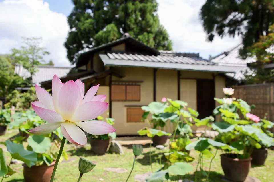 Nara, Japan｜Nishikyo Renhuaji Temple Pass (Saidaiji Temple, Kikoji Temple, Toshodaiji Temple, Yakushiji Temple)