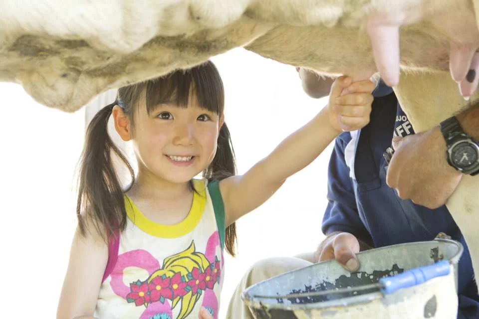 Narita Dream Dairy Farm | Admission Ticket | Instant Confirmation | Japan